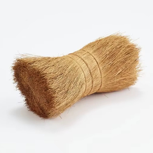Fibra de Cerdas de Coco Natural Sostenible, el Mejor Producto, Importante para Cepillos, Escobas, Decoración del Hogar y Muebles, Fabricación en Sri Lanka - Product Image 1