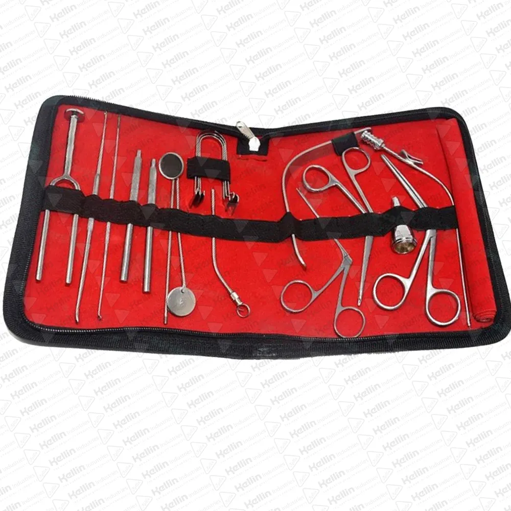Kit d'instruments ORL Instruments de diagnostic ORL cliniques pour l'opération de base Ensemble d'instruments chirurgicaux ORL Outils d'équipement médical