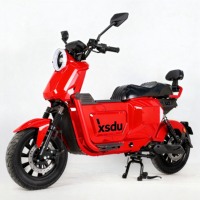 Nouveau vélo électrique avec moteur arrière sans balais 48V, 6 vitesses, numérique, intelligent, pour adultes, pour les trajets quotidiens