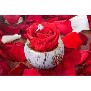 Mini for Tiffany Luxury Rose Preserved Natural Roses for Valentine's Day and Mother's Day Gifts - Product Image 4