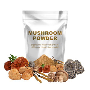 Venta caliente 100% Pure Chaga Mushroom Powder Food Grade Cultivo salvaje Organic Chaga Mushroom Powder para bienestar y soporte energético - Product Image 6