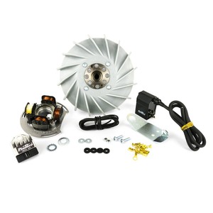 Sistema de Encendido Eléctrico para Motocicleta Flytech GS 150, Cono de Encendido de 17 mm, 1.7 kg - Product Image 1