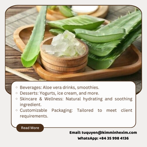 Cubos de Aloe Vera Congelados IQF de Calidad de Exportación para Bebidas y Postres - Product Image 6