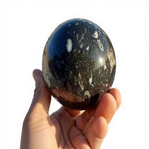 Fósil de Orthoceras, Amonita en Forma Libre, Cristal para Feng Shui, Piedra Tallada Portátil, Decoración para el Hogar - Product Image 1