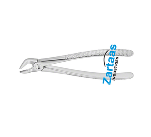 Fórceps de extracción dental de acero inoxidable de alta calidad Fig 31 Fabricante de Instrumentos dentales de raíces inferiores - Product Image 2