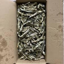 HOT SALE Blue Lotus Dried Anchovy <b>Fish</b> 2025 Premium Daily Seafood - Product Image 2