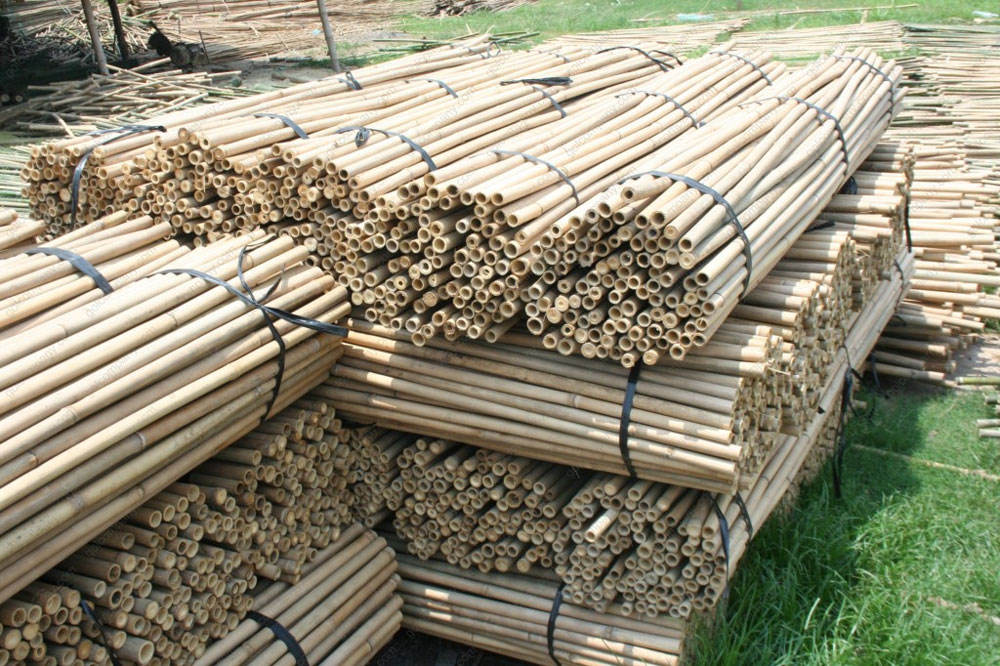 ธรรมชาติ