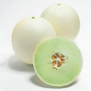Melones Honeydew Frescos de Alta Calidad - Grado de Exportación Clase I - Pulpa Verde Dulce - Alto Contenido de Brix 12%+ - Venta al por Mayor de Melones Honey - Product Image 1