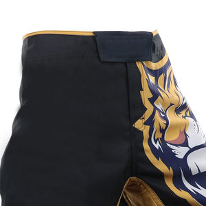 Pantalones cortos MMA de poliéster de alta calidad para hombre, fabricante profesional, suministro de fábrica, tarifa al por mayor, pantalones cortos sublimados para hombre - Product Image 5