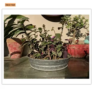Maceta de Metal decorativa de la mejor calidad, suministros de jardín de tamaño mediano, bandeja de maceta para decoración de hogar y jardín - Product Image 5