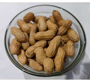 Arachides brutes naturelles en vrac avec coquille Noyaux secs de qualité supérieure pour les acheteurs internationaux Approvisionnement en noix en gros pour l'industrie alimentaire - Product Image 3