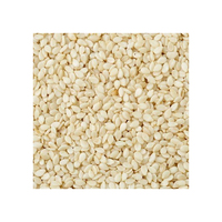 Graines de sésame blanches de qualité supérieure d'approvisionnement d'usine 100% sésame blanc naturel pour l'exportation