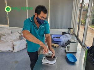 Venta caliente de calidad superior Vietnam pimienta negra seca AD proceso de procesamiento crudo picante para exportación desde la fábrica de Phalco - Product Image 5