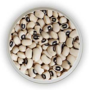 Frijoles Negros Secos Sin GMO de Alta Calidad al por Mayor, 25 kg, 2 Años de Vida Útil a Bajo Precio - Product Image 5