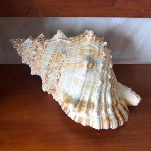 Lampe à sel d'art populaire imperméable séchée naturelle vietnamienne 2025 avec technique de couture pour la décoration de la maison et des vacances - Product Image 3