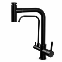 Robinet de cuisine monocommande moderne en acier inoxydable 304 avec douchette extractible, à poser sur plan, avec filtre à cartouche céramique