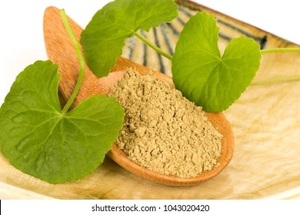 Centella Asiatica (ผง Gotu Kola) ฟื้นฟูผิวสำหรับใช้เป็นเครื่องสำอาง - Product Image 2