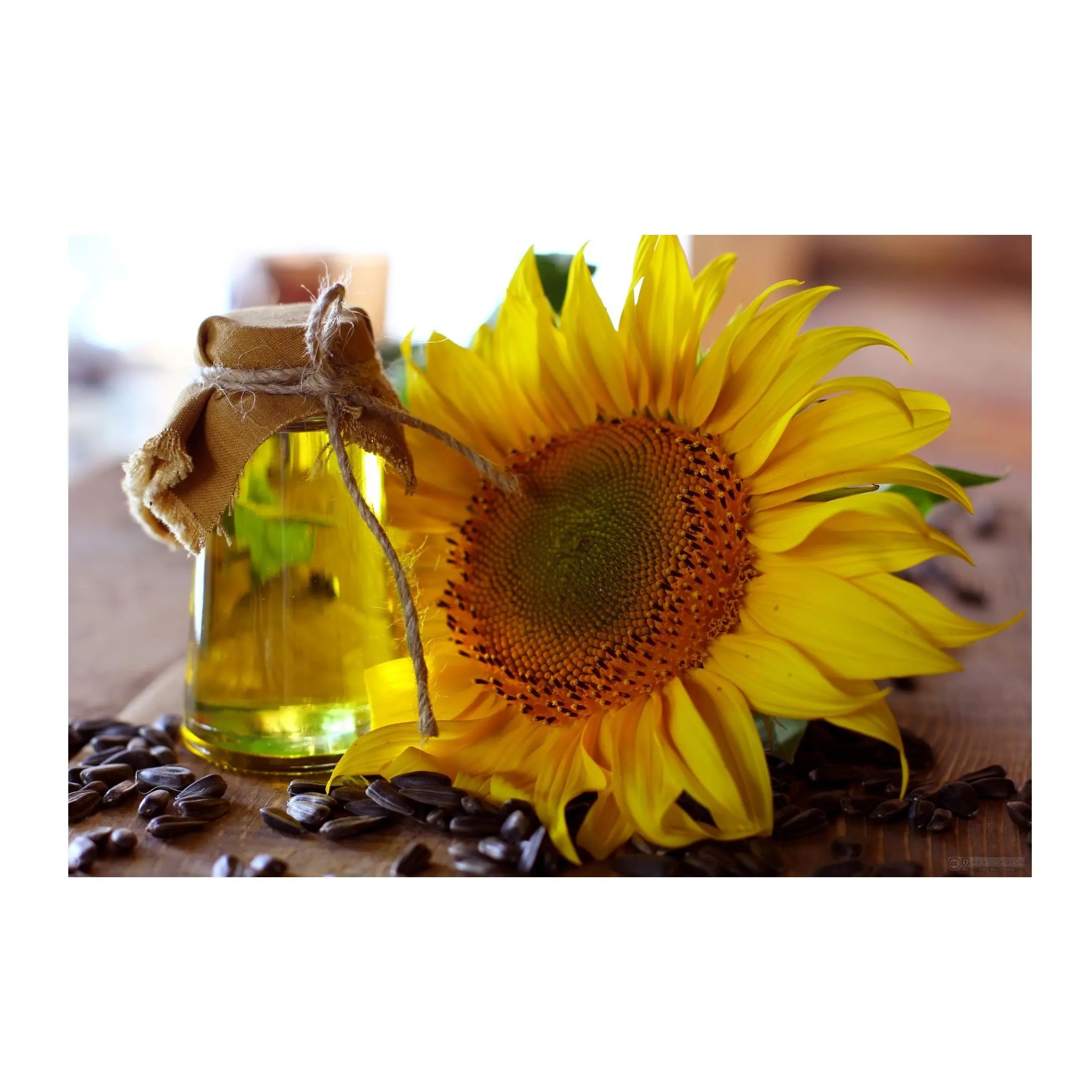 Premium-Qualität Großhandel Lieferant von raffinierten/rohen Sonnenblumen Speiseöl zum Verkauf