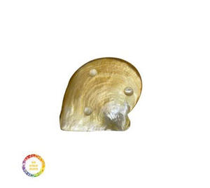 Venta al por mayor de chips de concha de nácar, material natural para decoración artesanal de joyería e incrustaciones, suministro de exportación de Vietnam - Product Image 6