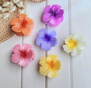 Clips à cheveux de la meilleure qualité pour femmes et filles, pour un usage quotidien et au bureau, disponibles à des prix d'exportation - Product Image 2