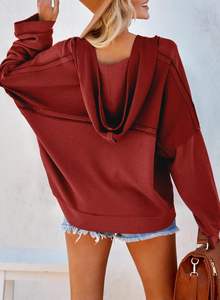 Sweats à capuche pour femmes Top Vente Meilleur matériel brodé Technics Nouvelle arrivée Saison d'hiver Prix bon marché Direct du fabricant - Product Image 4