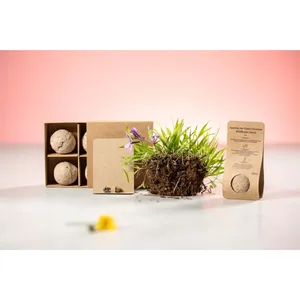 Sfera di Semi Flobba, Gadget Ecologici per Feste, Forniture Promozionali Eco-Friendly - Product Image 3