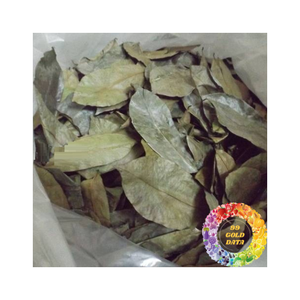Feuilles de corossol séchées soigneusement sélectionnées, couleur naturelle, arôme riche, feuilles de corossol séchées en vrac, exportation d'un fournisseur vietnamien fiable - Product Image 2