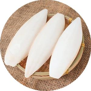 DRIED WASHED CUTTLE FISH BONE, FRESH <b>CUTTLEFISH</b> BONE - Product Image 5