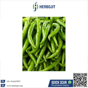 Vente chaude 2024 Herbojit International Excellente qualité Piment vert frais Pur naturel Haute vente Prix compétitif pour l'exportation - Product Image 6