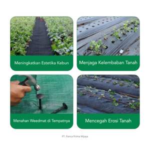 Ancres de tapis anti-mauvaises herbes en plastique de haute qualité |   Pions de fixation pour paillis, tissu anti-mauvaises herbes et filet d'ombrage (10 pièces) Usage industriel - Product Image 5