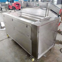 Laveuse-éplucheuse automatique de gingembre, ail et pommes de terre pour nettoyage à sec, à vendre