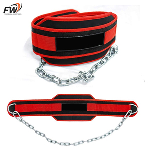 Cinturón de levantamiento de pesas de neopreno grueso con cadena y doble anilla en D para soporte de espalda - Product Image 1