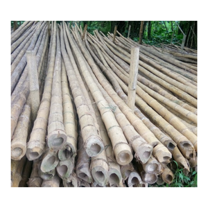 Vietnam <b>Bamboo</b> <b>Fence</b> - <b>Bamboo</b> <b>Fence</b> <b>Panels</b> - High Quality Handwoven Outdoor <b>Fence</b> for Garden, Yard, and Landscape Decoration - Product Image 1
