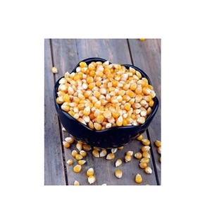 ซื้อข้าวโพดบดจำนวนมากในราคาขายส่งเหมาะสำหรับงานกิจกรรมทางธุรกิจและร้านค้าปลีกข้าวโพดคั่ววันนี้ - Product Image 2