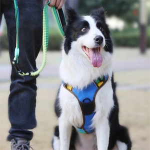 Adjustable Striped Nylon <b>Dog</b> <b>Harness</b> with Buckle Closure for <b>Medium</b> <b>Dogs</b> - Product Image 6