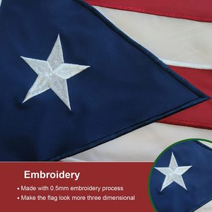 Bandera de Puerto Rico con la frase 'Hate Has No Home Here', 12x18 Pulgadas, Estrellas Bordadas y Rayas con Doble Costura, con 2 Anillas de Latón, USA TOP FLAGSINC - Product Image 4