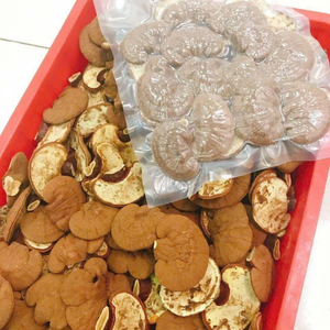 CHAMPIGNONS DE REISHI DE CULTURE SAUVAGE | ENTIÈREMENT SÉCHÉS | SUPPORT IMMUNITAIRE NATUREL - Product Image 3