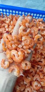 กุ้งแห้งขนาดเล็กแบบพรีเมี่ยมจากเวียดนามเหมาะสำหรับสลัดซุปซอสขนมและการเตรียมอาหารเอเชีย - Product Image 2