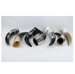 Corne à boire en forme de buffle, taille et logo personnalisés, produit de meilleure qualité et corne à boire polie et brillante faite à la main, vente en gros - Product Image 3