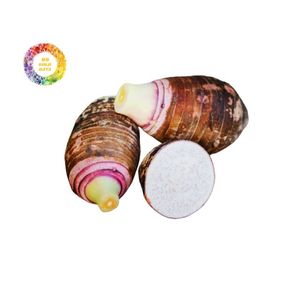 IQF Frozen <b>Taro</b> Made in Vietnam <b>Fresh</b> Taste and Nutrients Preserved - Product Image 4