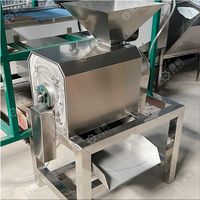 Industriële fruit- en mangobes-pulpmachine met motor, hoge productiviteit, 304 roestvrij staal