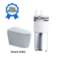 Échantillon gratuit mini pompe à membrane 12 volts mini moteur de pompe à eau cc pompe à eau électrique générale