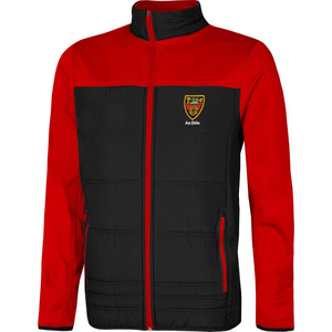 Veste bouffante brillante de haute qualité conçue sur mesure pour hommes tissu léger automne hiver manteau à bulles chaud col à capuche teint OEM - Product Image 2
