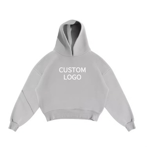 Sweats à capuche Street Wear de haute qualité avec fonction de décoloration du soleil Logo personnalisable Nouveau design Pull et broderie d'appliques - Product Image 1