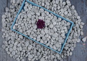 หินกรวดและก้อนกรวดธรรมชาติที่สวยงามและน่าอัศจรรย์ของตกแต่งสวนกลางแจ้งสำหรับภูมิทัศน์ในสวนสาธารณะ - Product Image 4