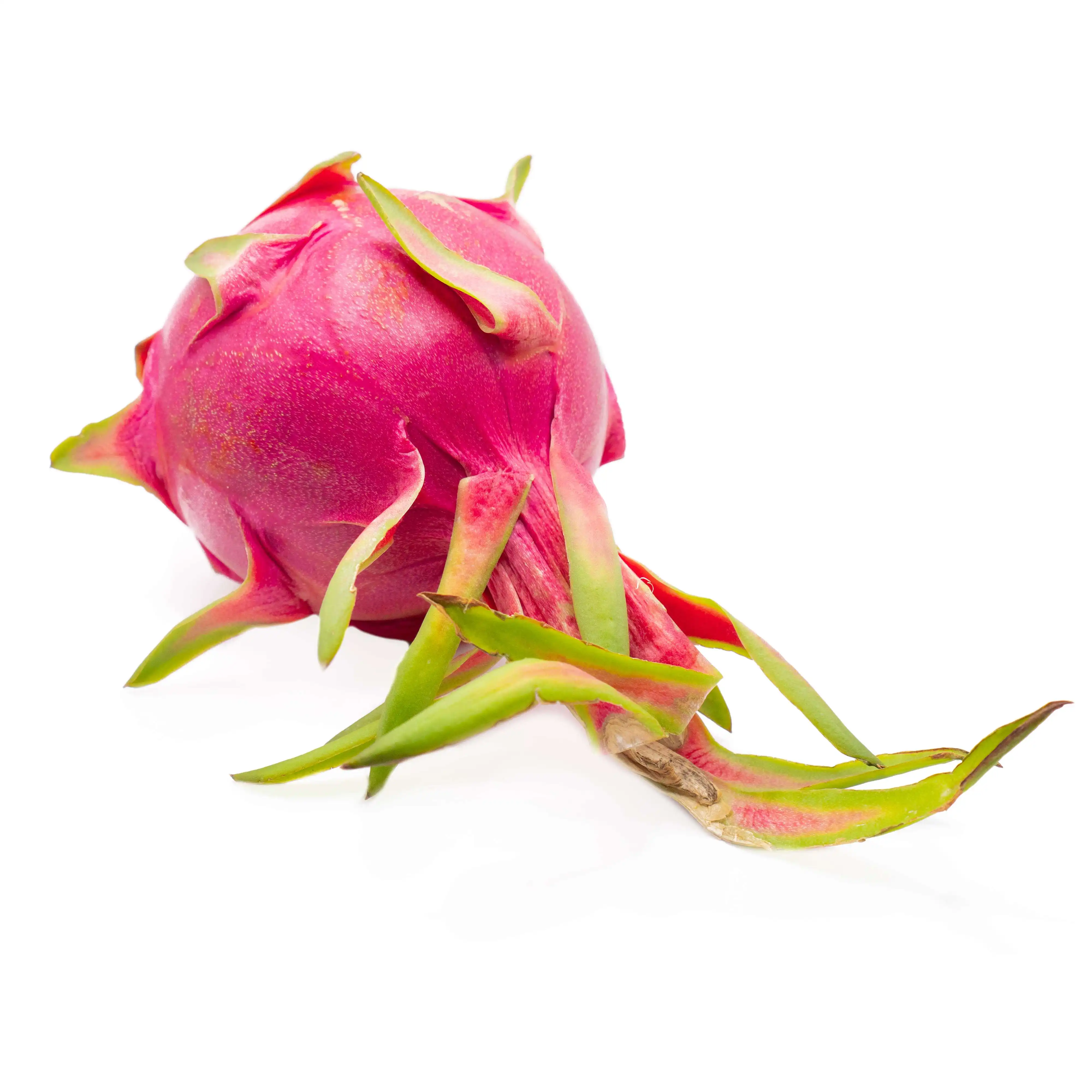 100% Natural Hot Selling Sweet Fresh Dragon Fruit From Supplier In Vietnam Competitive Price Ready Export Vietnam Manufacturer