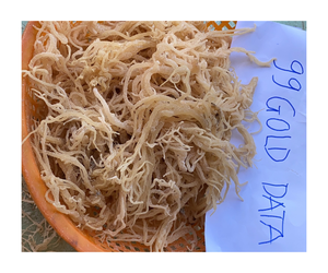 Musgo marino-musgo marino seco-musgo irlandés-seamoss crudo-musgo marino natural para ensalada con buena oferta de alta calidad - Product Image 1