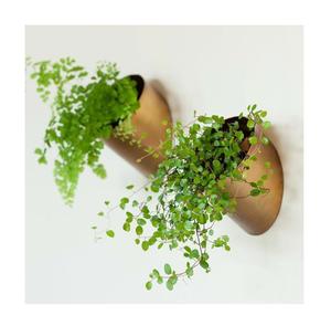 Ensemble de 2 jardinières en métal plaqué or de qualité supérieure, pots à fleurs ronds en fer, parfaits pour la décoration de plantes chic en intérieur et en extérieur - Product Image 1