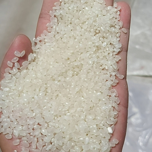 Surtidor barato al por mayor del arroz de Venta caliente de Japonica/arroz redondo/arroz de alta calidad del sushi - Product Image 1