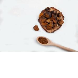 Polvo de hongo Chaga a bajo precio - Product Image 3